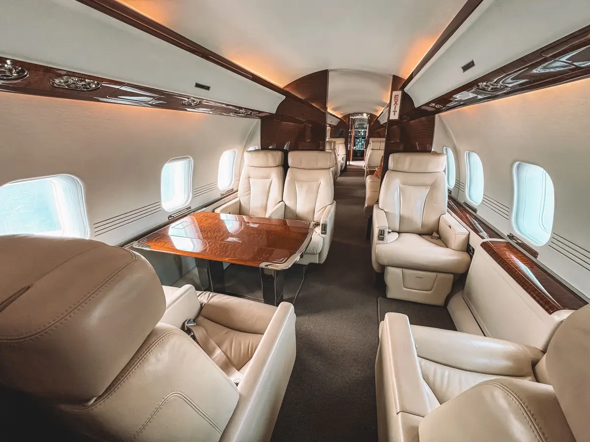 Pet travelling comfortably in a private jet cabin