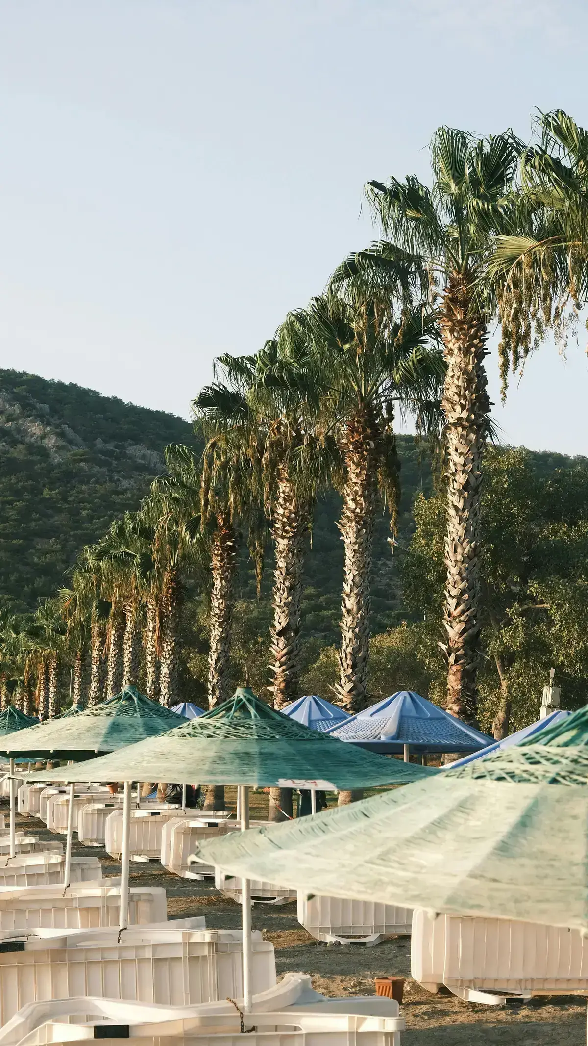 Science Says You Need a Holiday Every Two Months: Where to Go This Summer | Private Flights