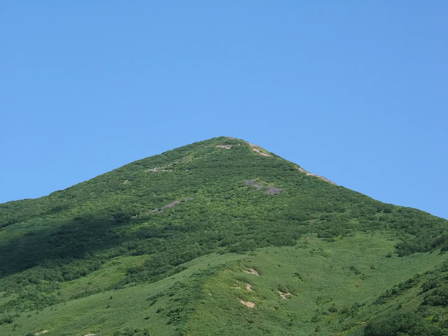 Niseko private jet charter